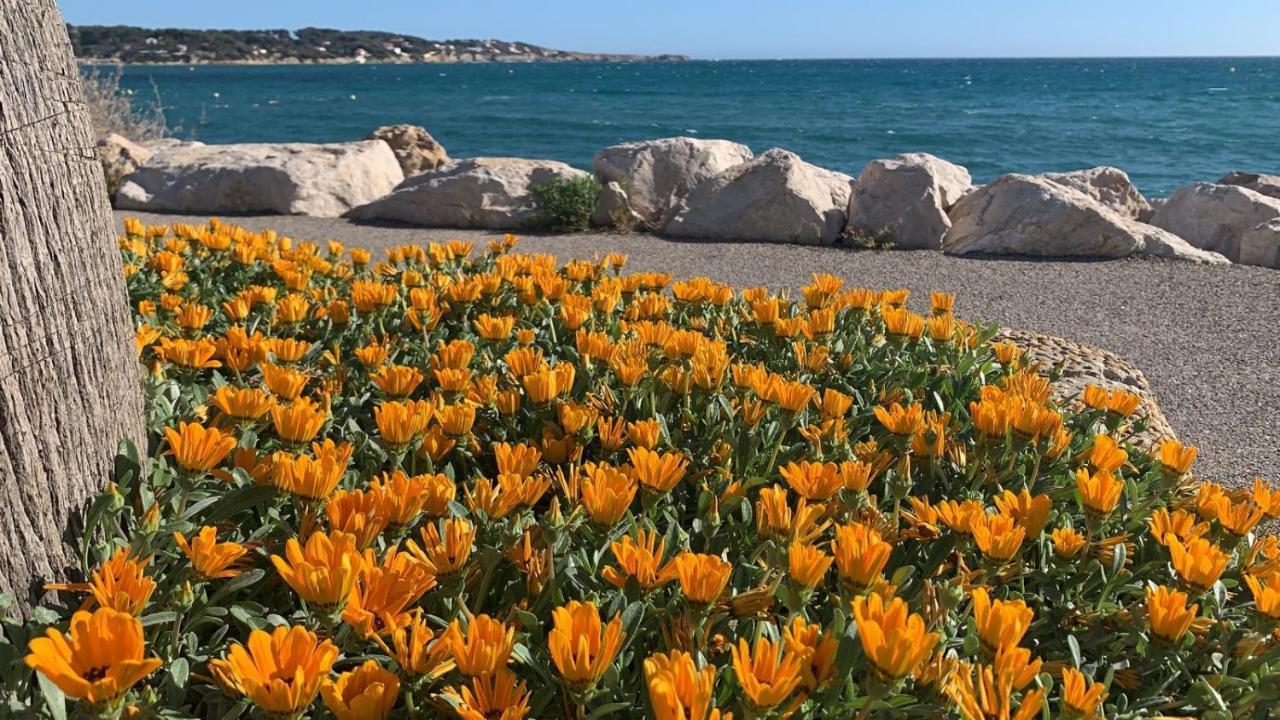 Les Appartements De La Marina Sanary-sur-Mer Esterno foto
