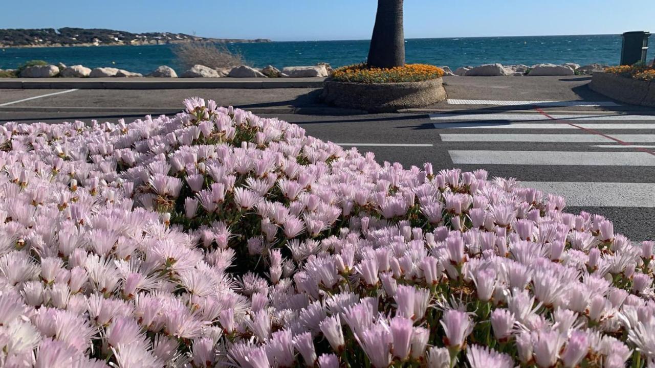 Les Appartements De La Marina Sanary-sur-Mer Esterno foto